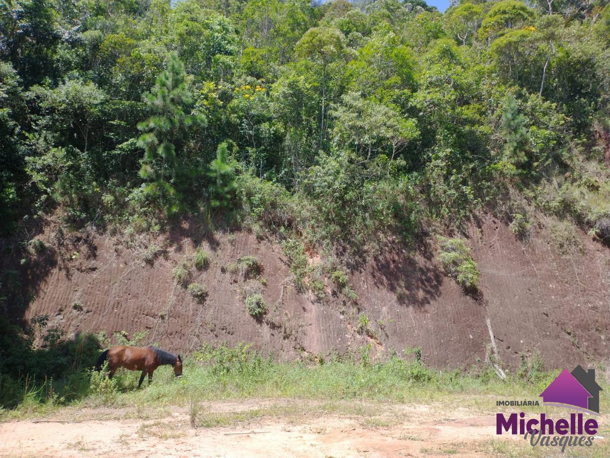 Terreno à venda, 2667m² - Foto 10